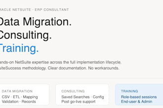 consult, migrate data, and train your team on netsuite erp