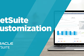 do netsuite customization and integration, suitescript and API