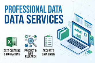 do professional data cleaning, excel data entry