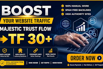 build tf 30 plus white hat SEO
