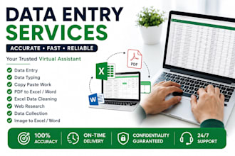 be your reliable data entry and excel assistant