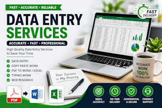 do accurate data entry, copy paste, excel data entry and typing