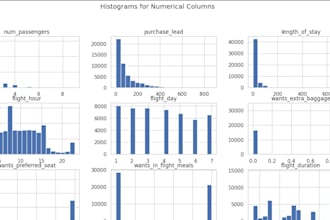 perform data analysis and create insightful visualizations