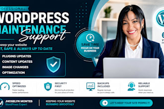 provide maintenance and support for your wordpress website