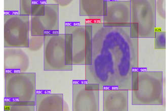 provide expert medical image annotation and data labeling