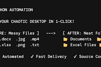 create a python script for file organization and automation