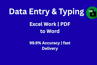 do fast manual data entry typing and excel work