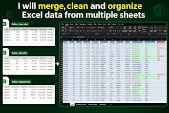 clean, merge, organize and format excel or CSV data