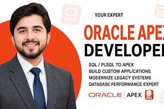 develop custom oracle apex applications erp systems and dashboards