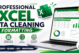 hello, I will clean, organize and format your excel data