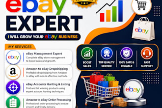 provide complete ebay management services