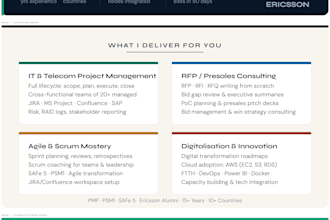be your project manager, scrum master for IT, telecom, digitalization projects