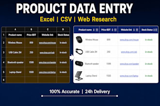 accurate data entry and excel sheet work fast