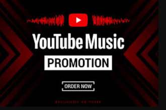 do organic USA youtube video promotion via google ads