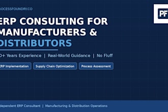 provide erp consulting for manufacturers and distributors