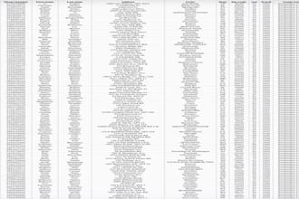 give newly fresh crypto, hot sweepstak leads, forex leads, bank coinbase leads