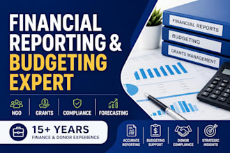 financial reporting, budgeting and grants management services for ngos