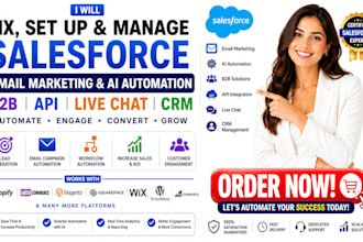 fix set up salesforce email marketing ai automation b2b API live chat CRM manage