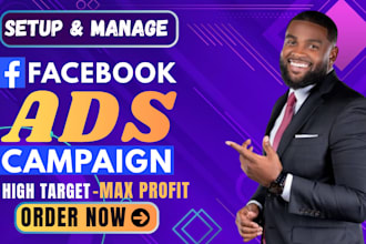 setup and manage facebook ads advertising marketing campaign, meta or tiktok ads