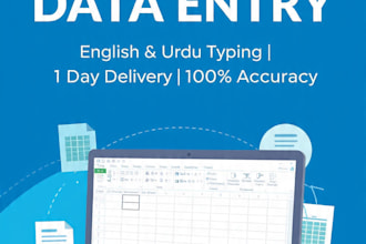 provide fast accurate data entry copy typing in english urdu