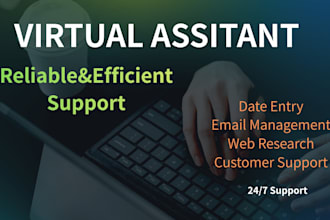 be your professinal cirtual assistant for date entry and web resarch