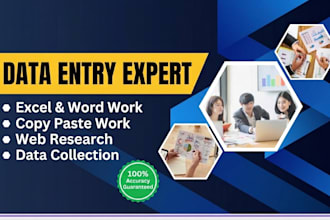 do multilingual data entry web research, excel data cleaning
