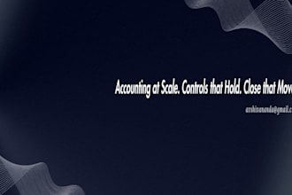 provide professional bookkeeping and accounting services
