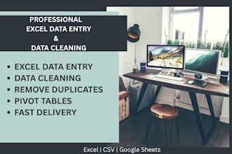 do data cleaning and data entry in excel