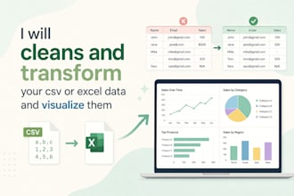 do ms excel or CSV data cleaning, formatting, organize, remove duplicate data