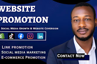 do website organic promotion, increase social media traffic, ecommerce ads