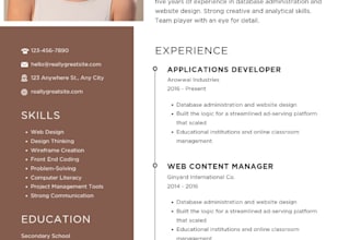 design professional CV resume