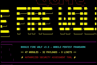 do cybersecurity testing and web security analysis