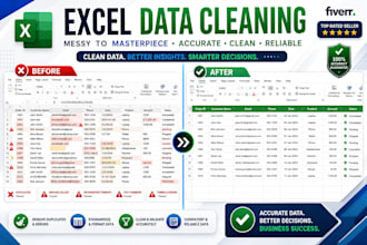 clean, format and organize excel data professionally