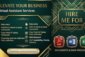 be your virtual assistant for data entry, data correction, copy past and typing