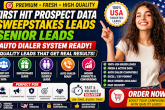 first hit prospect data, sweepstak leads, senior lead, auto dailer system