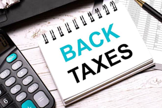 prepare, sign and file your tax returns, back taxes, amendment to irs cpa