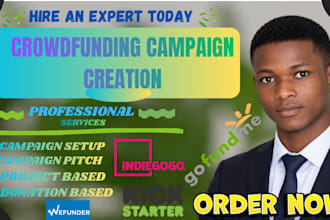 expert crowdfunding campaign creation on gofundme, kickstarter, and indiegogo