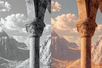 professionally colorize your black and white photos