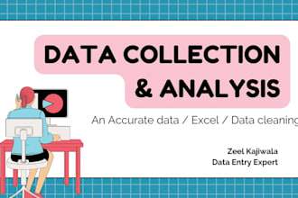 data entry, web research and excel expert