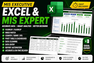 do excel data entry, dashboard, pivot table, and mis reports