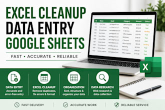 data entry, excel cleanup, and spreadsheet organization