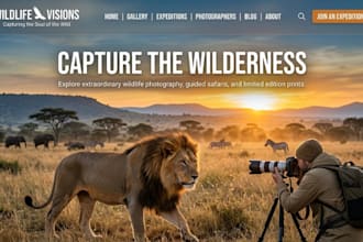 design squarespace wildlife photography website animal photography booking site