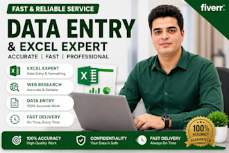 provide professional data entry and excel services