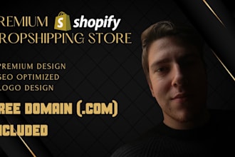 create a premium dropshipping shopify store, website
