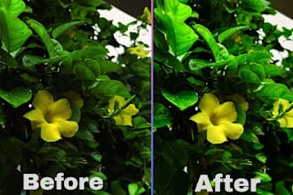 do freelancing of photography along with image and video editing