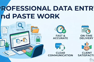 do professional data entry and paste work