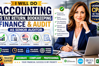 do accounting, US tax return, bookkeeping, finance and audit as senior auditor