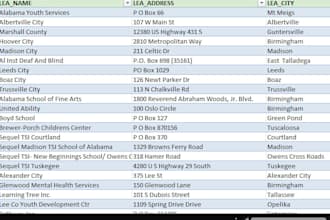 do excel data cleaning, formatting, and dashboards