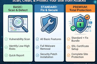 scan for vulnerabilities your webisite
