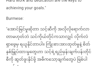 do professional english to burmese translation